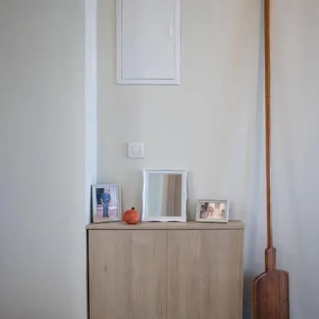 公寓 O Palaios Fournos Tou Andrea 阿尔戈斯托利翁