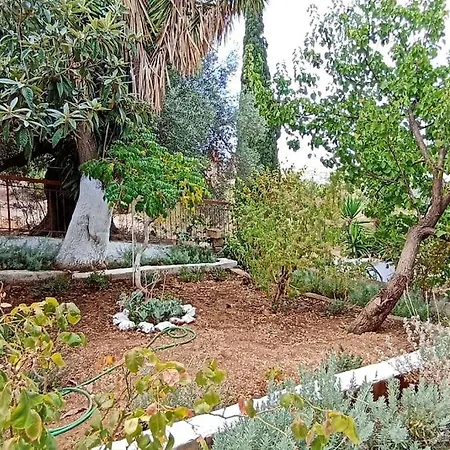 O Palaios Fournos Tou Andrea * 阿尔戈斯托利翁