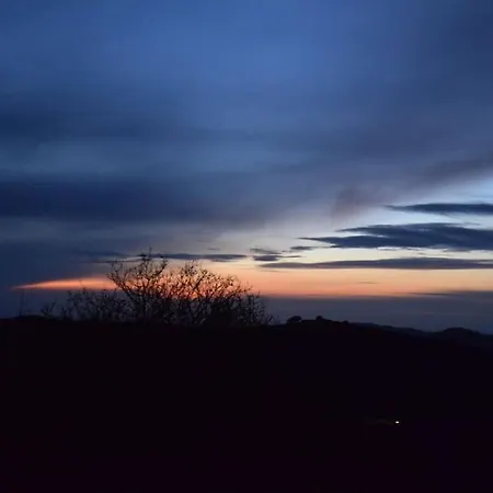 O Palaios Fournos Tou Andrea 公寓 阿尔戈斯托利翁