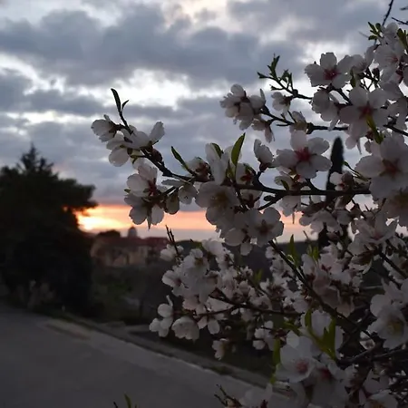 דירה O Palaios Fournos Tou Andrea ארגוסטולי